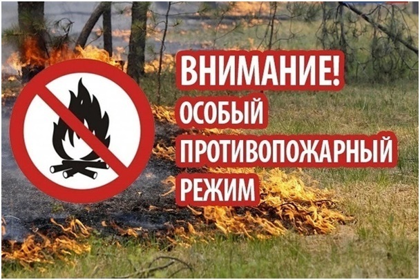 В Ульяновской области объявили о начале пожароопасного сезона.