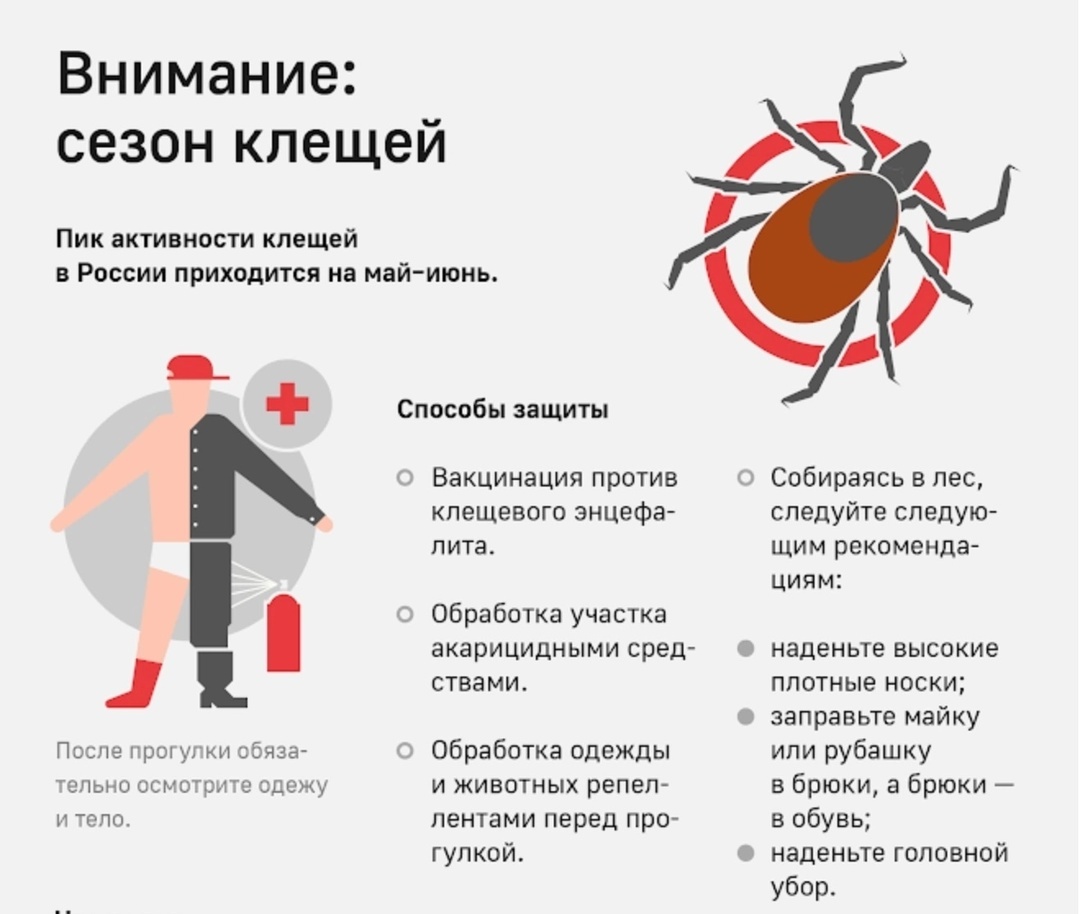 профилактика природно - очаговых инфекций.