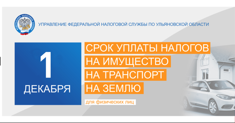 1 декабря - срок оплаты налогов. 1 декабря - срок оплаты налогов.