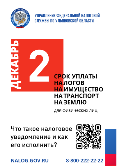 Уплати налоги до 2 декабря. Уплати налоги до 2 декабря.