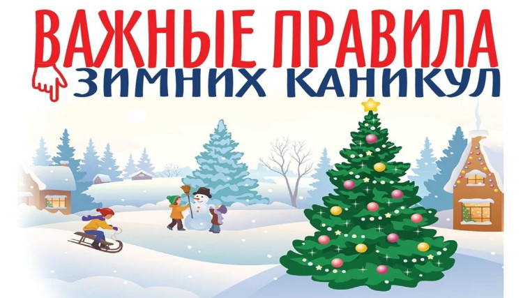Зимние каникулы. Зимние каникулы.